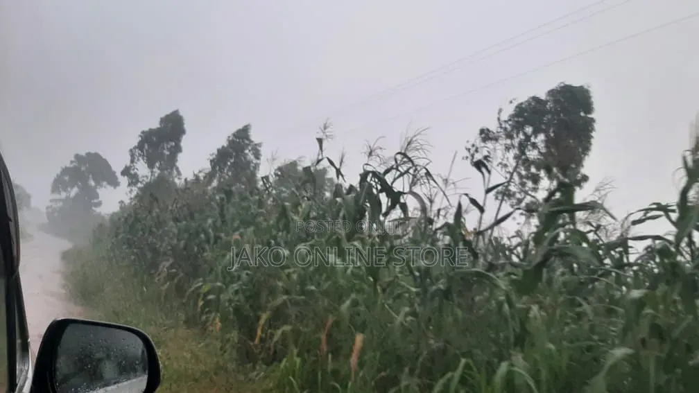 20 Acres for Sale in Wanfuufu, Luwero in Luwero / Luwero