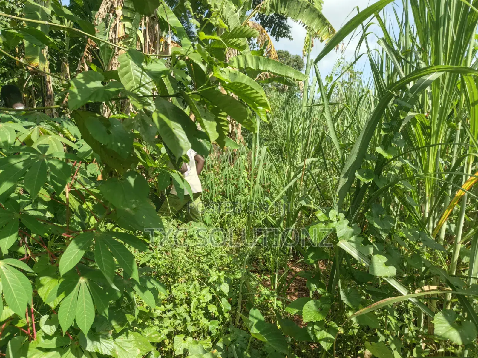 1acre Mixed Land Use for Sale Busede in Jinja