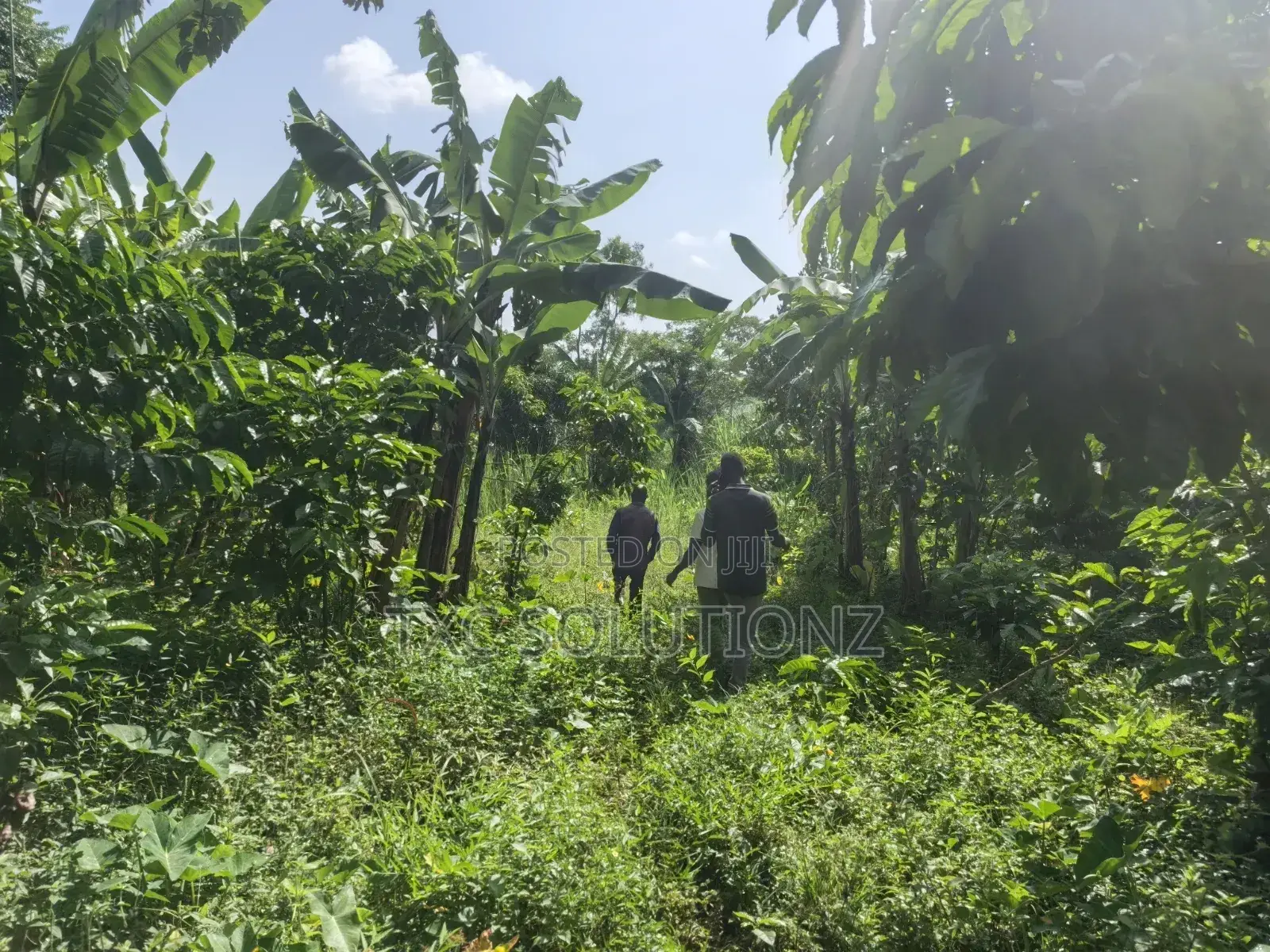 1acre Mixed Land Use for Sale Busede in Jinja