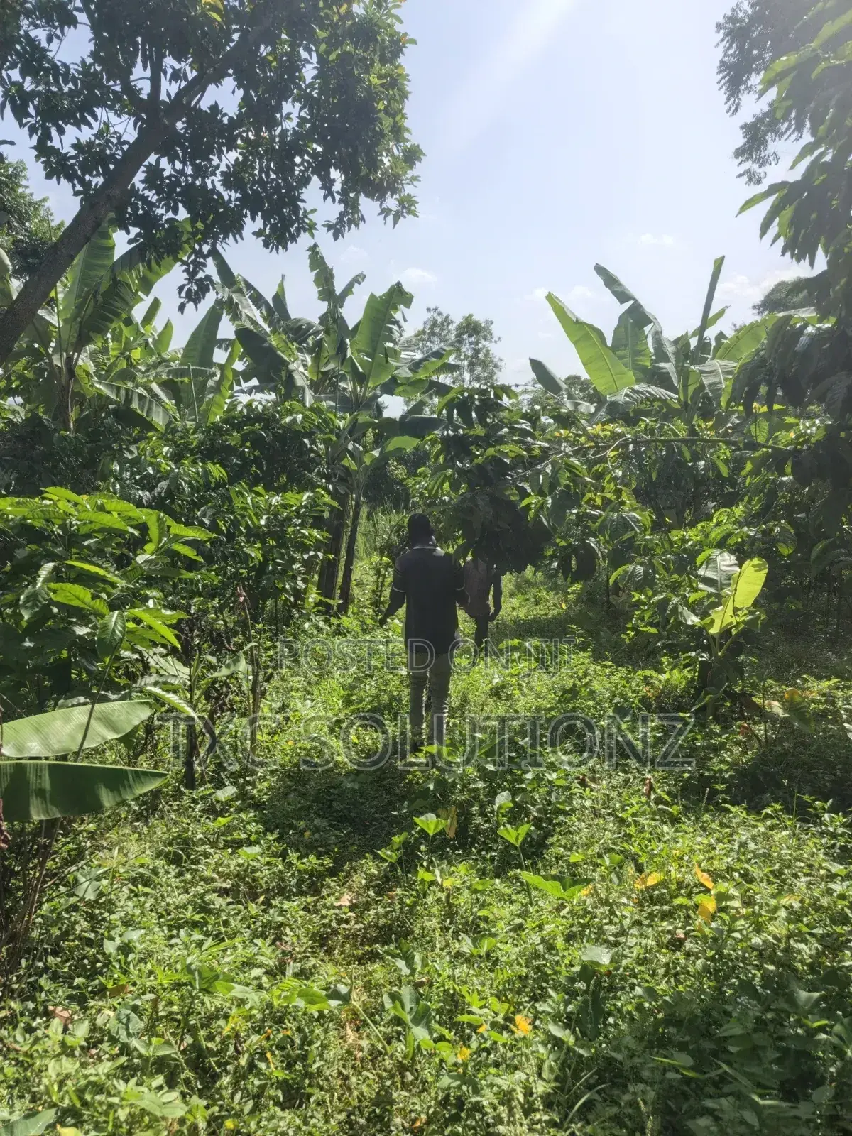1acre Mixed Land Use for Sale Busede in Jinja