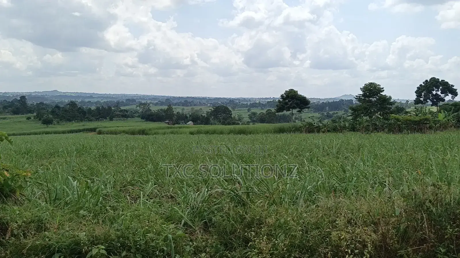Plot for Sale Jinja-Kagoma on Kamuli Road in Jinja