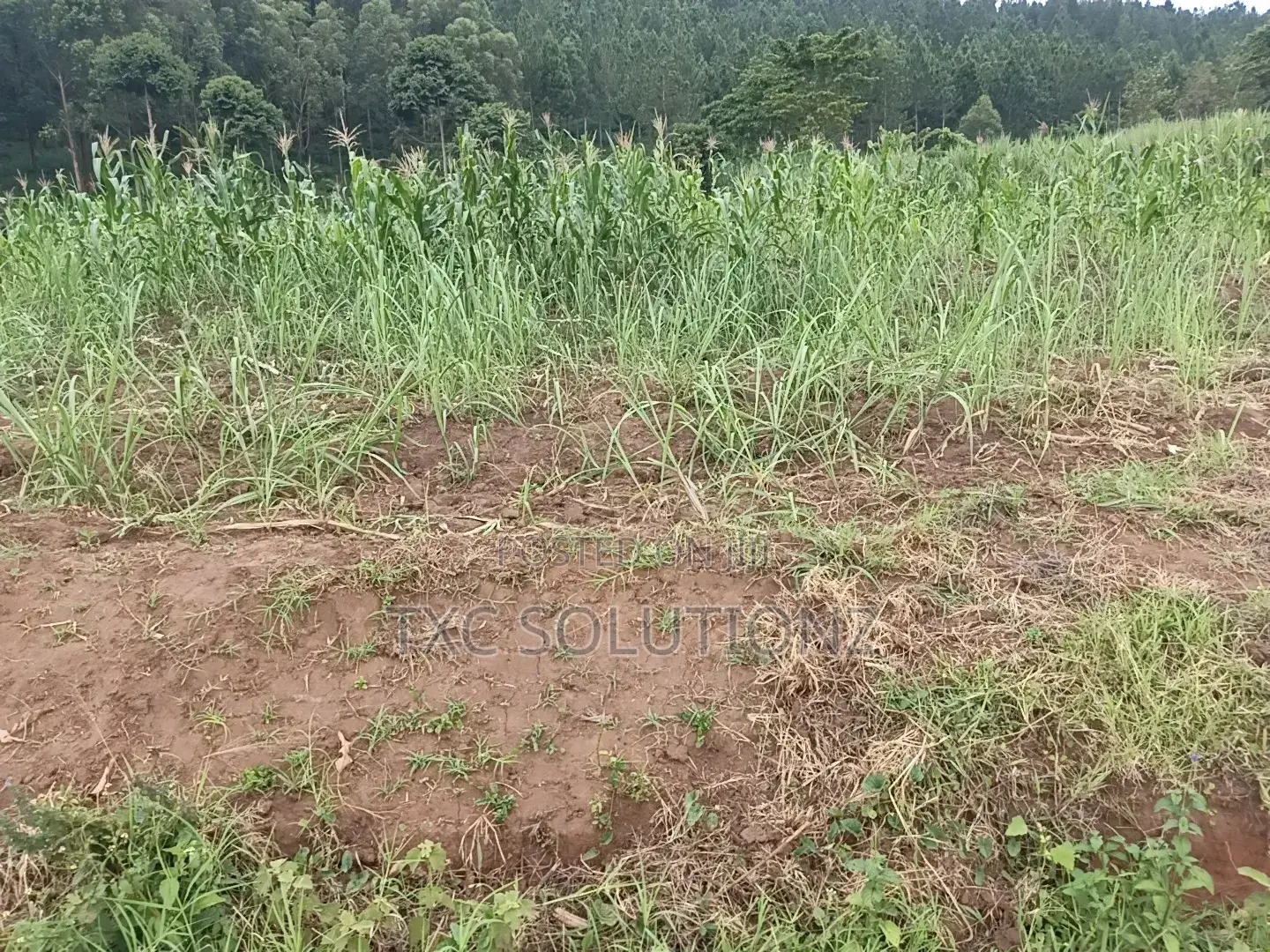 Plot for Sale Jinja-Kagoma on Kamuli Road in Jinja