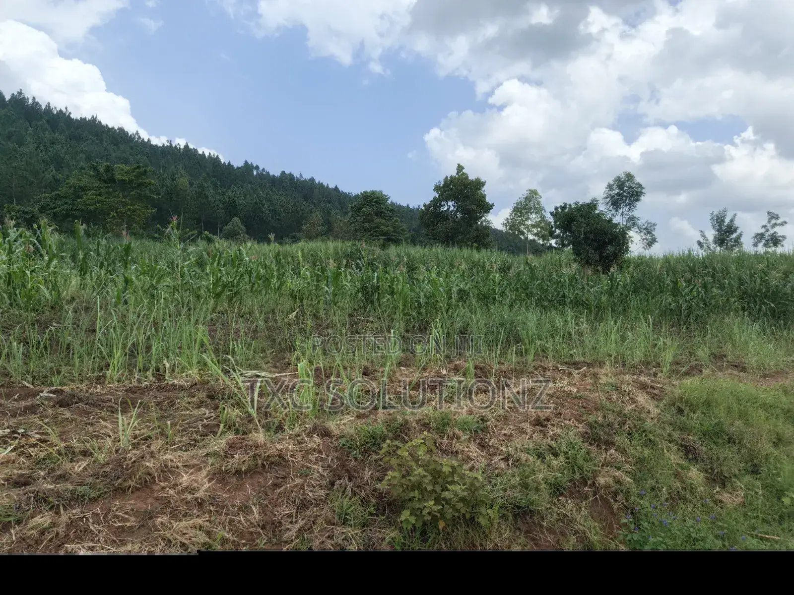 Plot for Sale Jinja-Kagoma on Kamuli Road in Jinja