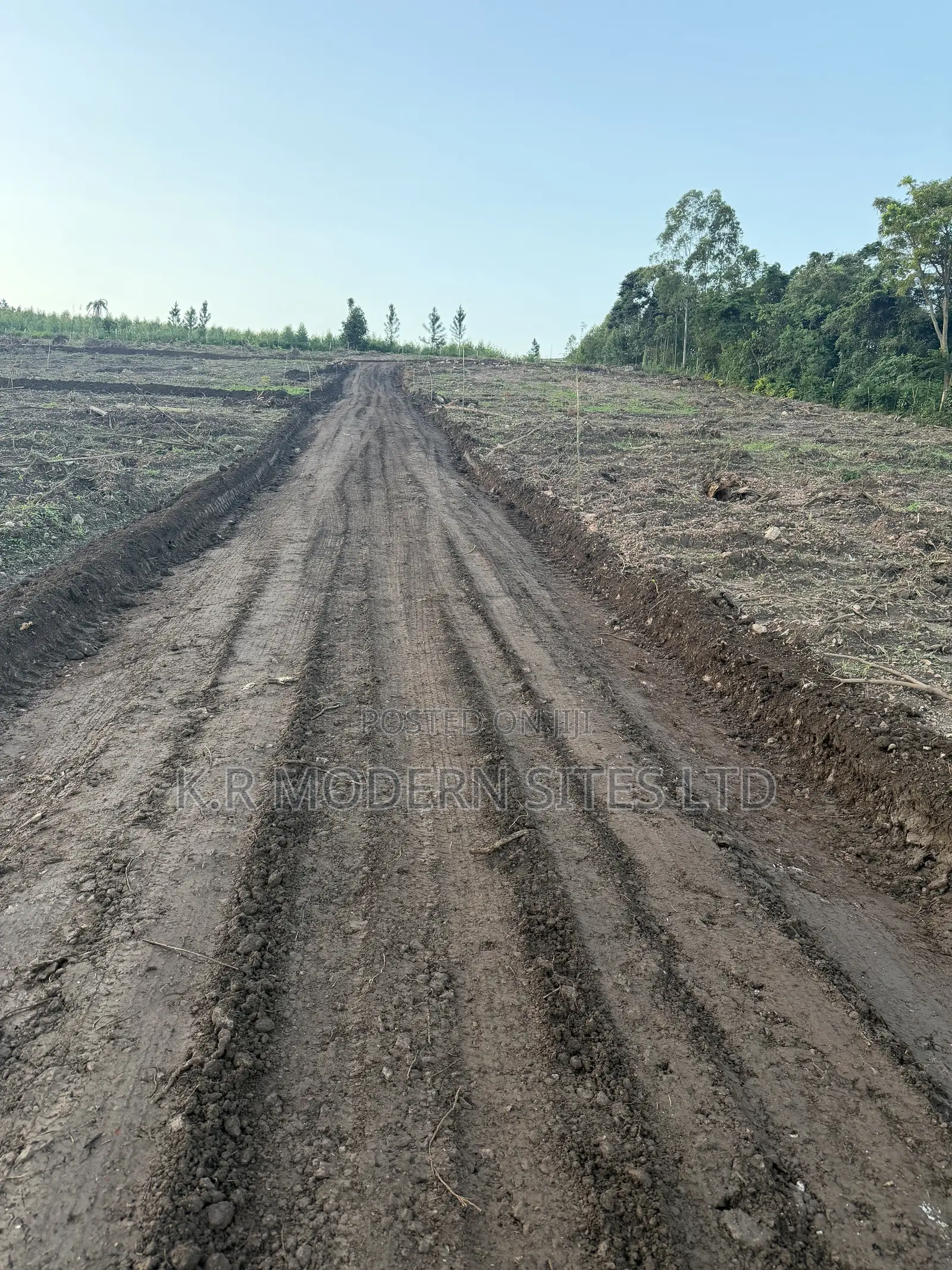 Affordable Plots 50*100ft With Titles in Wakiso / Wakiso