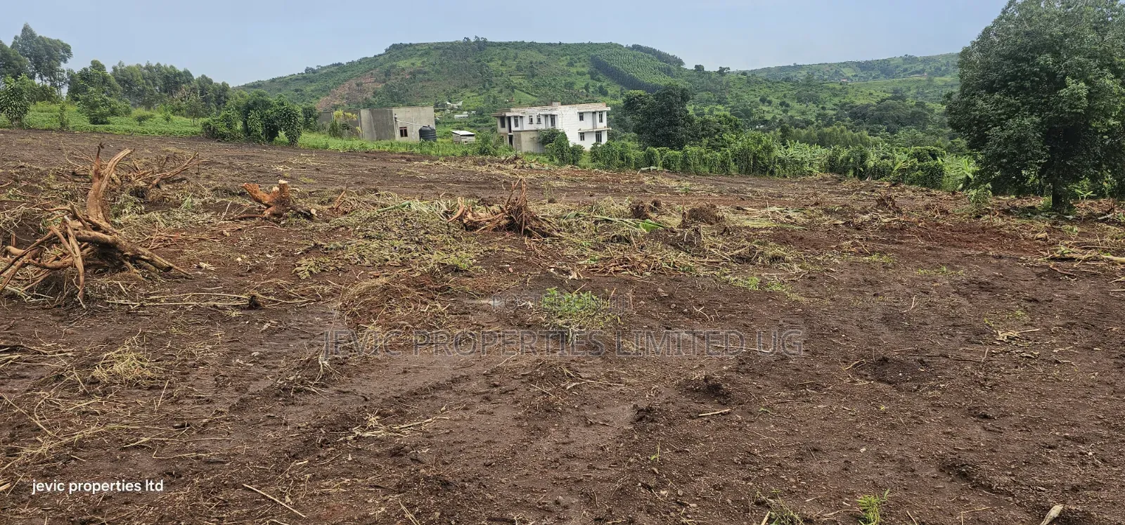 Plots for Quick Sale at Namayumba in Namayumba