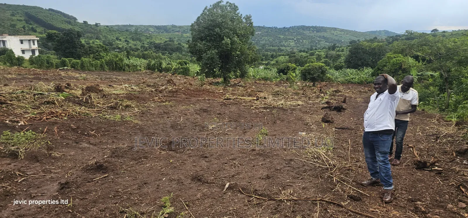 Plots for Quick Sale at Namayumba in Namayumba