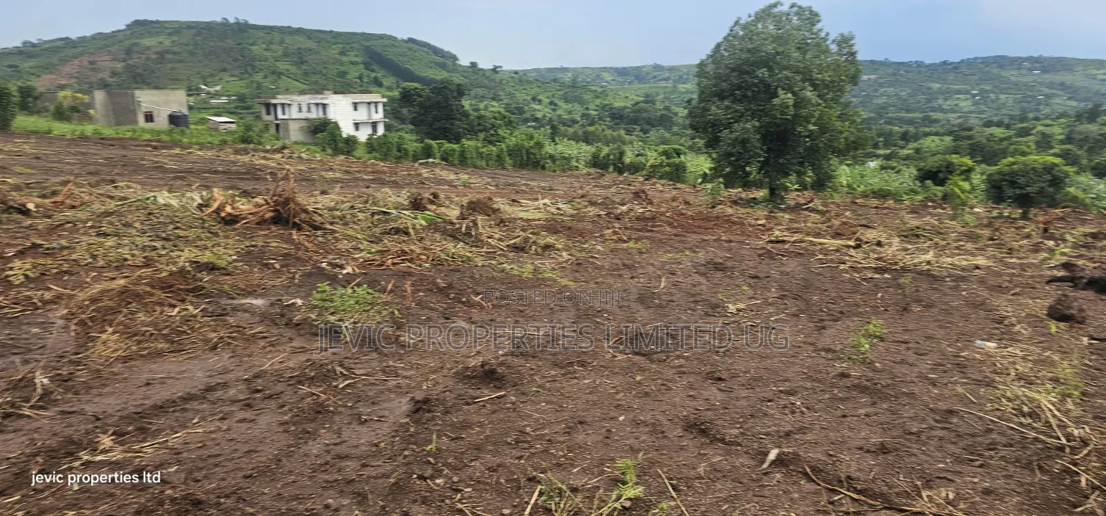 Plots for Sale 50x100 Titled, Just Give Away in Namayumba