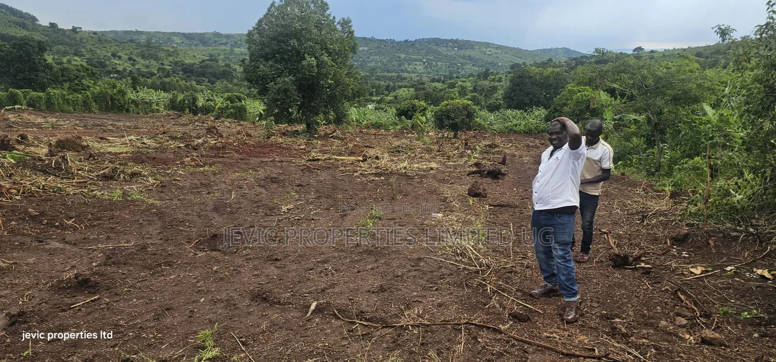 Plots for Sale 50x100 Titled, Just Give Away in Namayumba