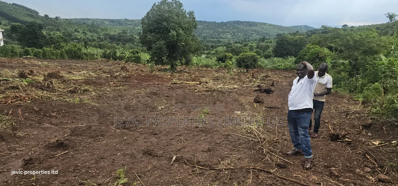 Plots for Sale 50x100 Titled, Just Give Away in Namayumba