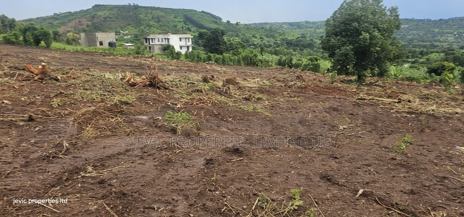 Titled Plots for Sale at Wakiso Namayumba in Namayumba