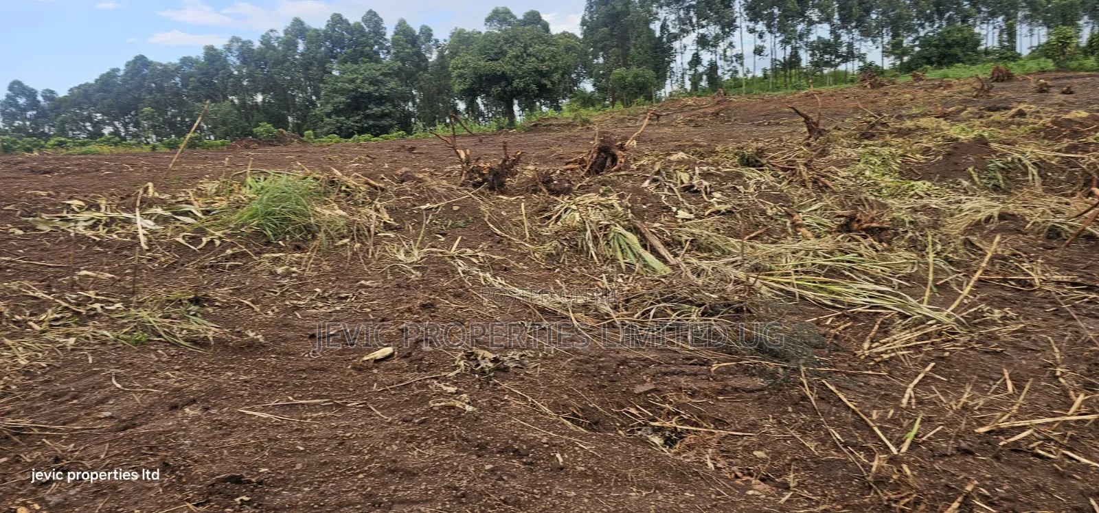 Titled Plots for Sale at Wakiso Namayumba in Namayumba