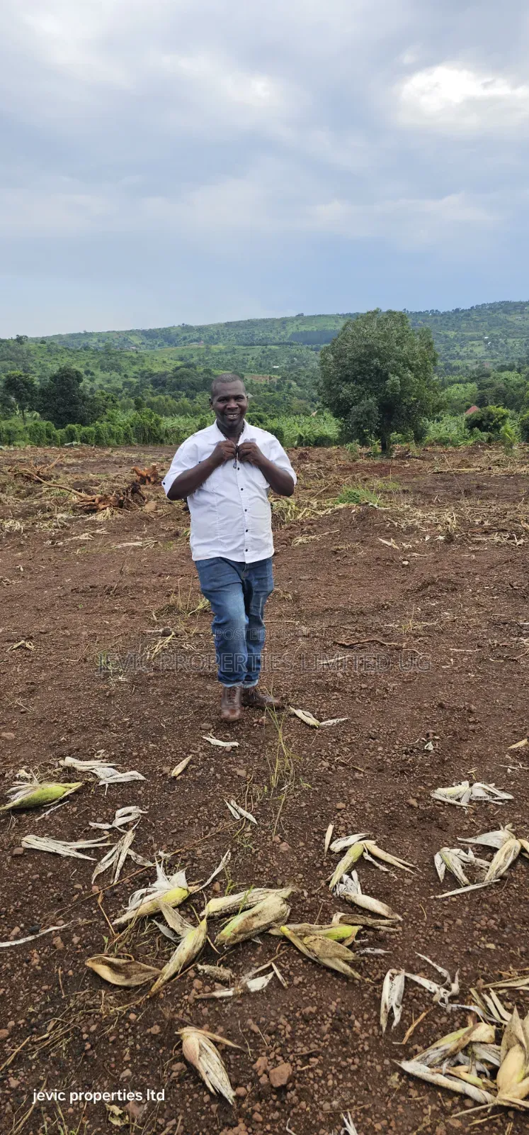 Titled Plots for Sale at Wakiso Namayumba in Namayumba