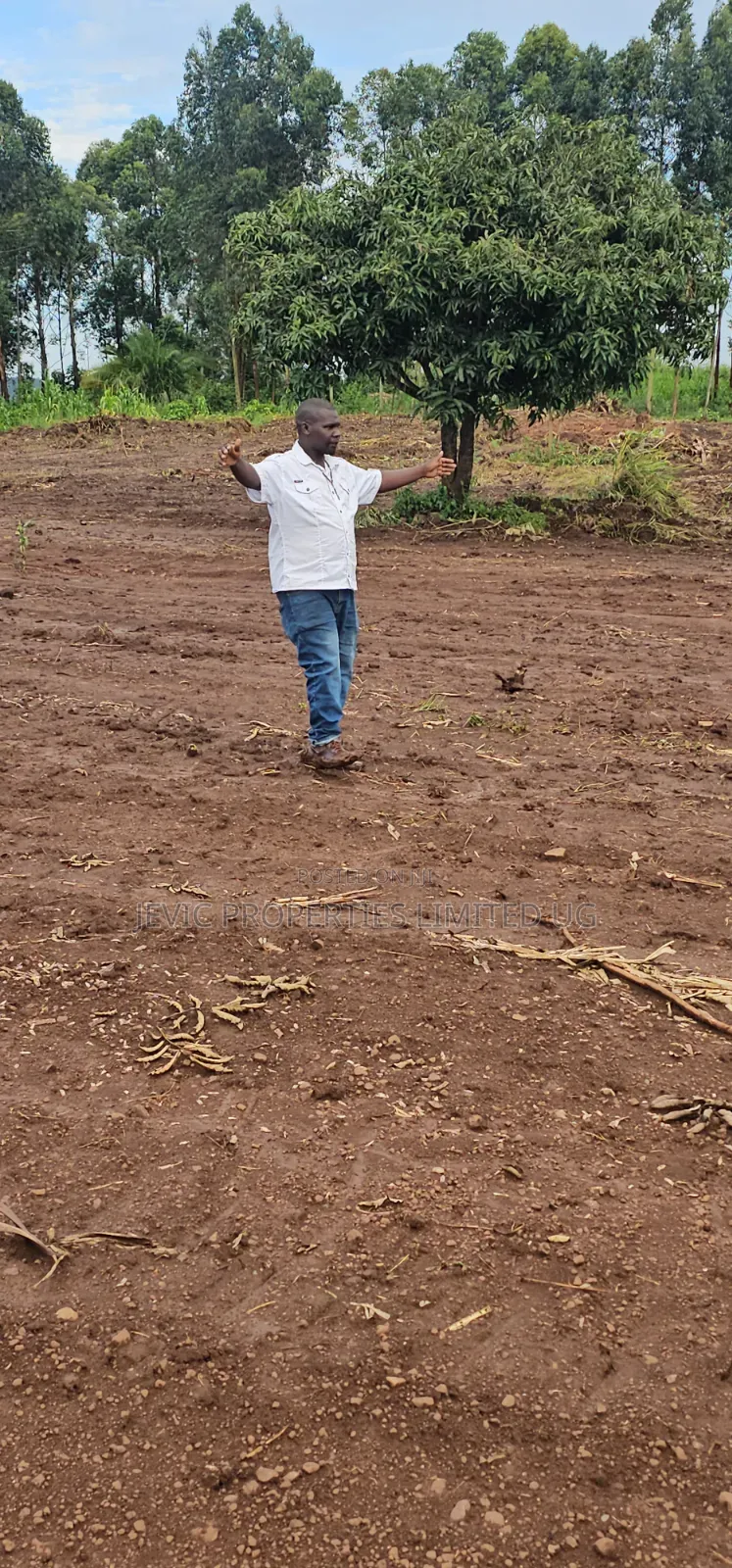 Titled Plots for Sale at Wakiso Namayumba in Namayumba
