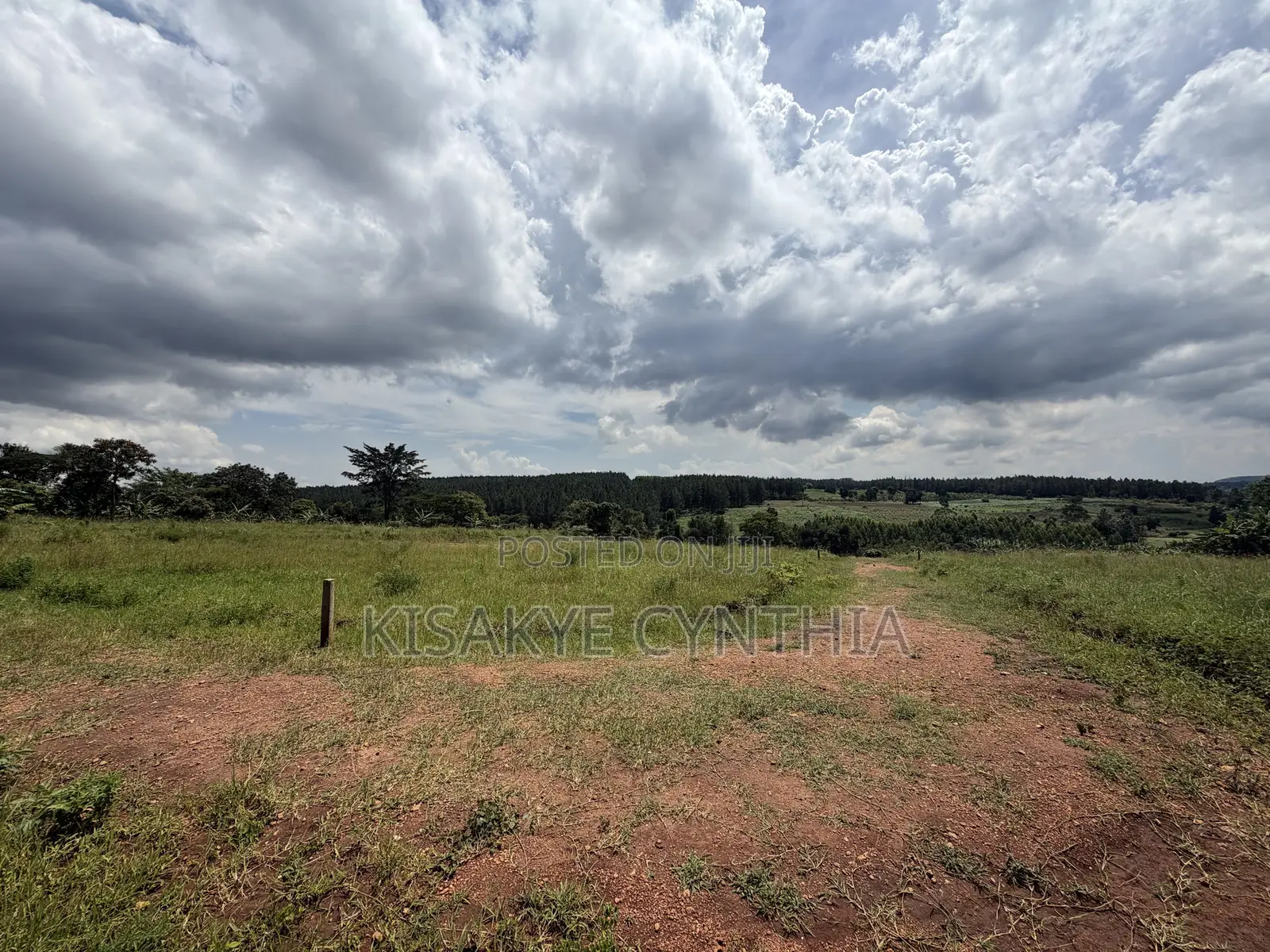 50by100ft Residential Plots for Sale in Namulonge Gayaza. Ready Titles in Wakiso / Wakiso
