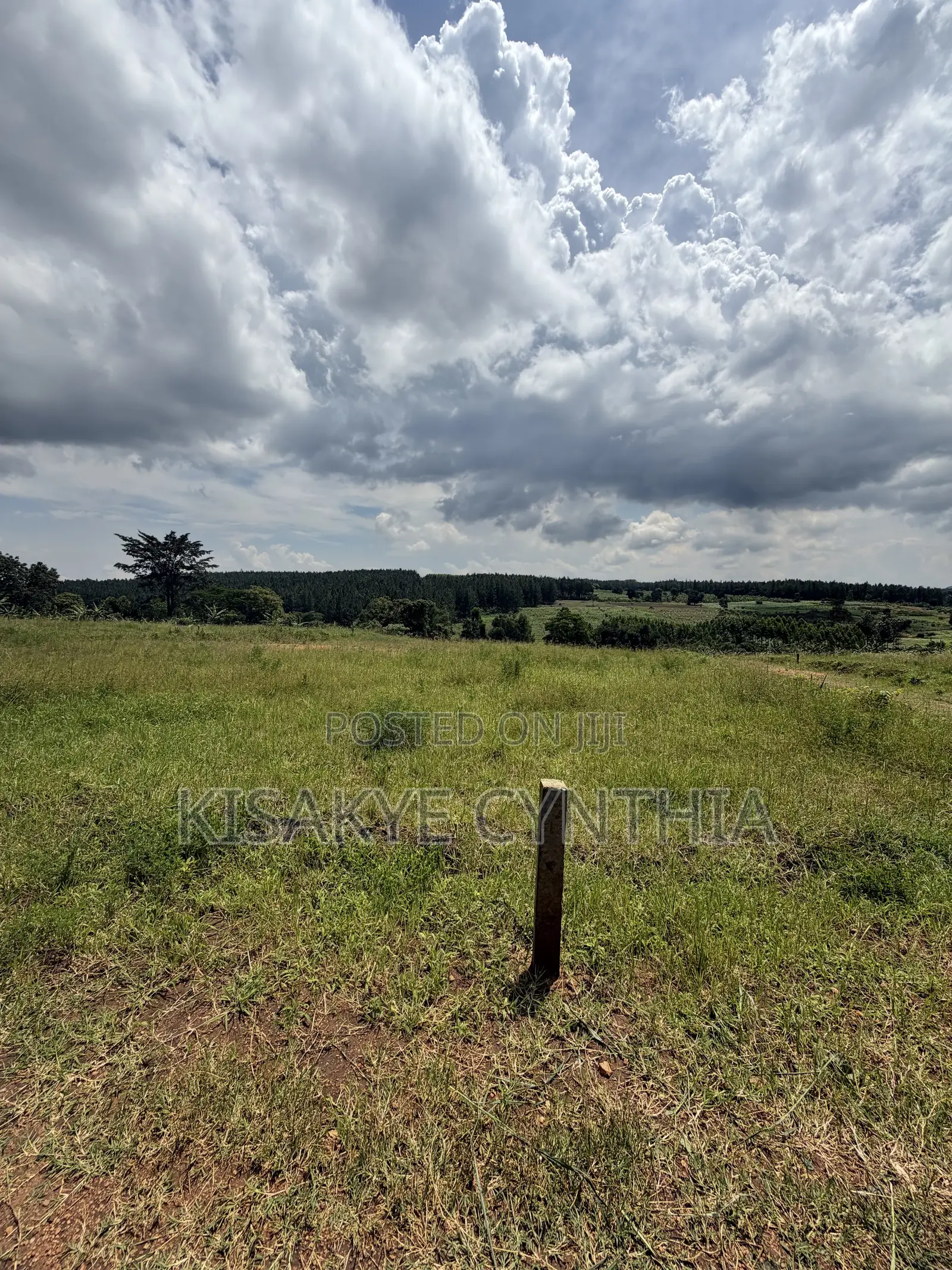 50by100ft Residential Plots for Sale in Namulonge Gayaza. Ready Titles in Wakiso / Wakiso