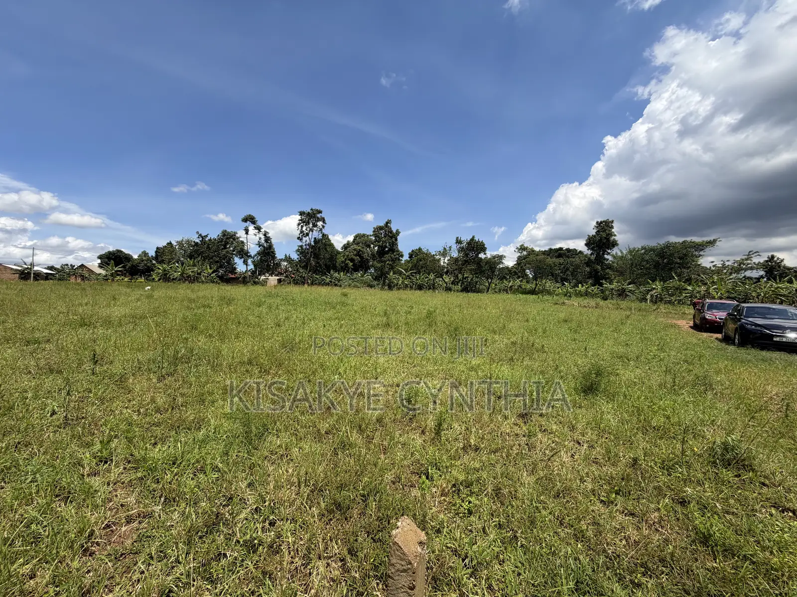 50by100ft Residential Plots for Sale in Namulonge Gayaza. Ready Titles in Wakiso / Wakiso