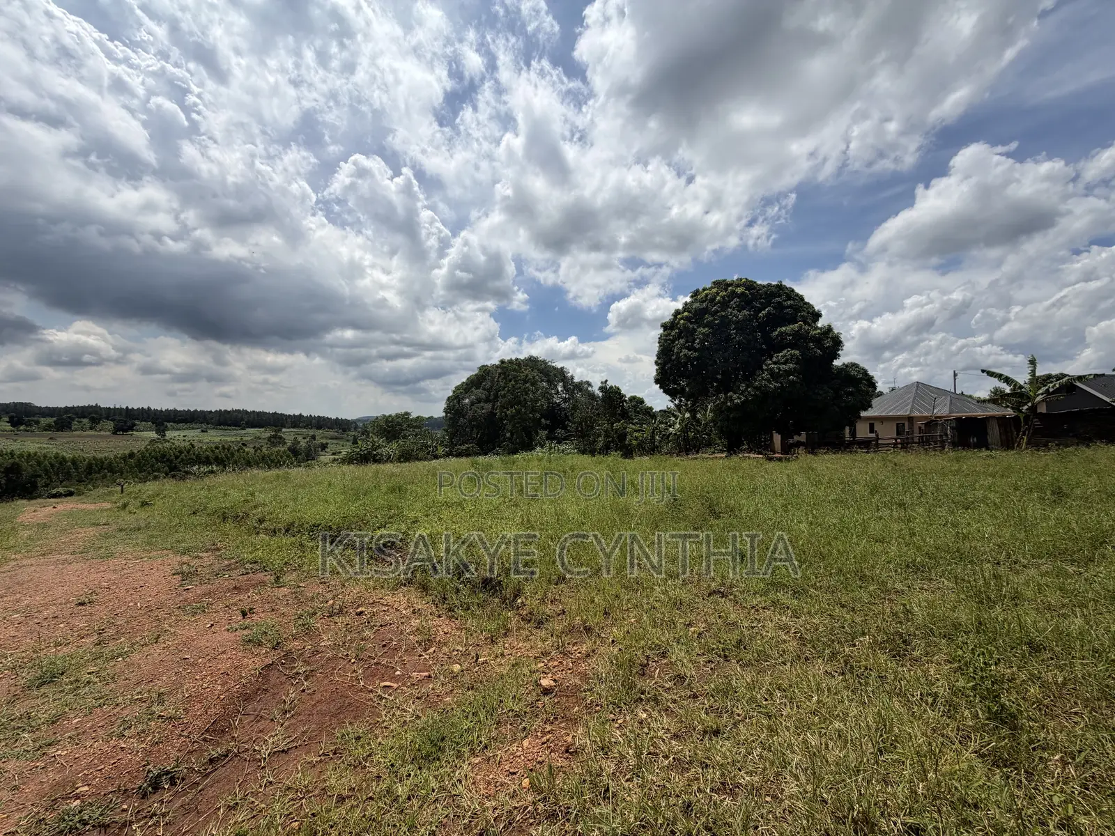 50by100ft Residential Plots for Sale in Namulonge Gayaza. Ready Titles in Wakiso / Wakiso