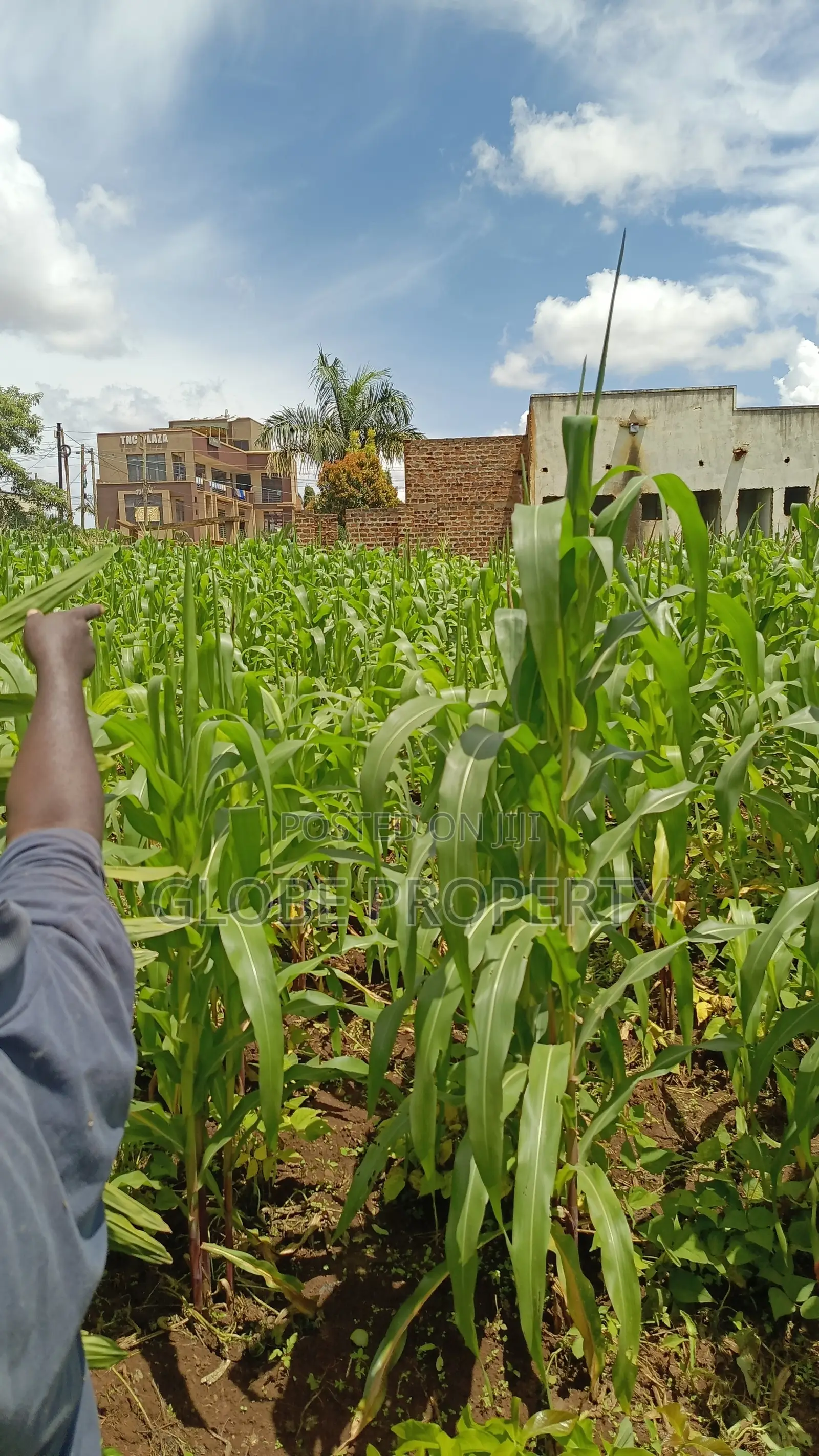 Commercial Plot for Sale in Bweyogerere, 100x100 in Kira