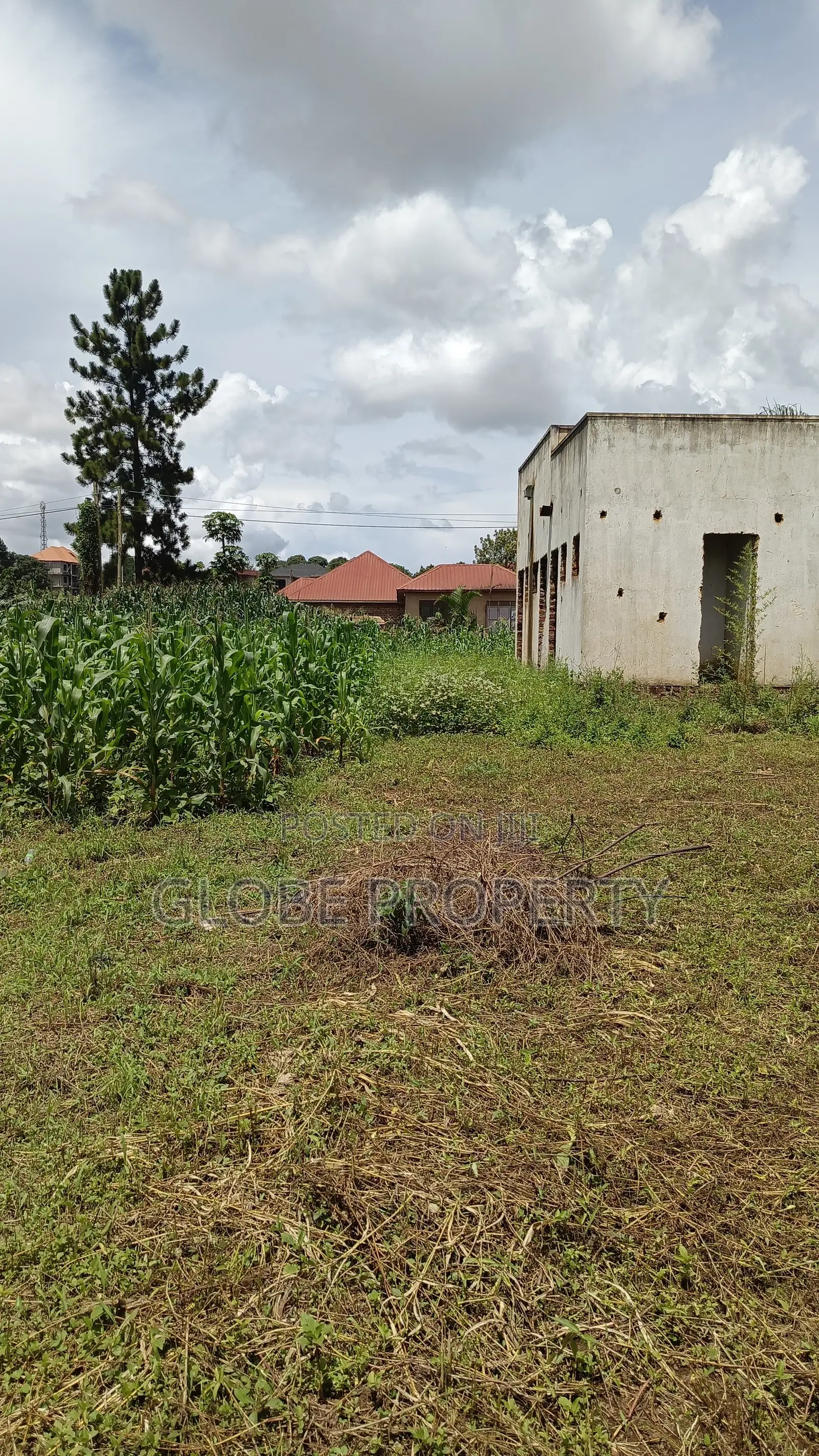 Commercial Plot for Sale in Bweyogerere, 100x100 in Kira