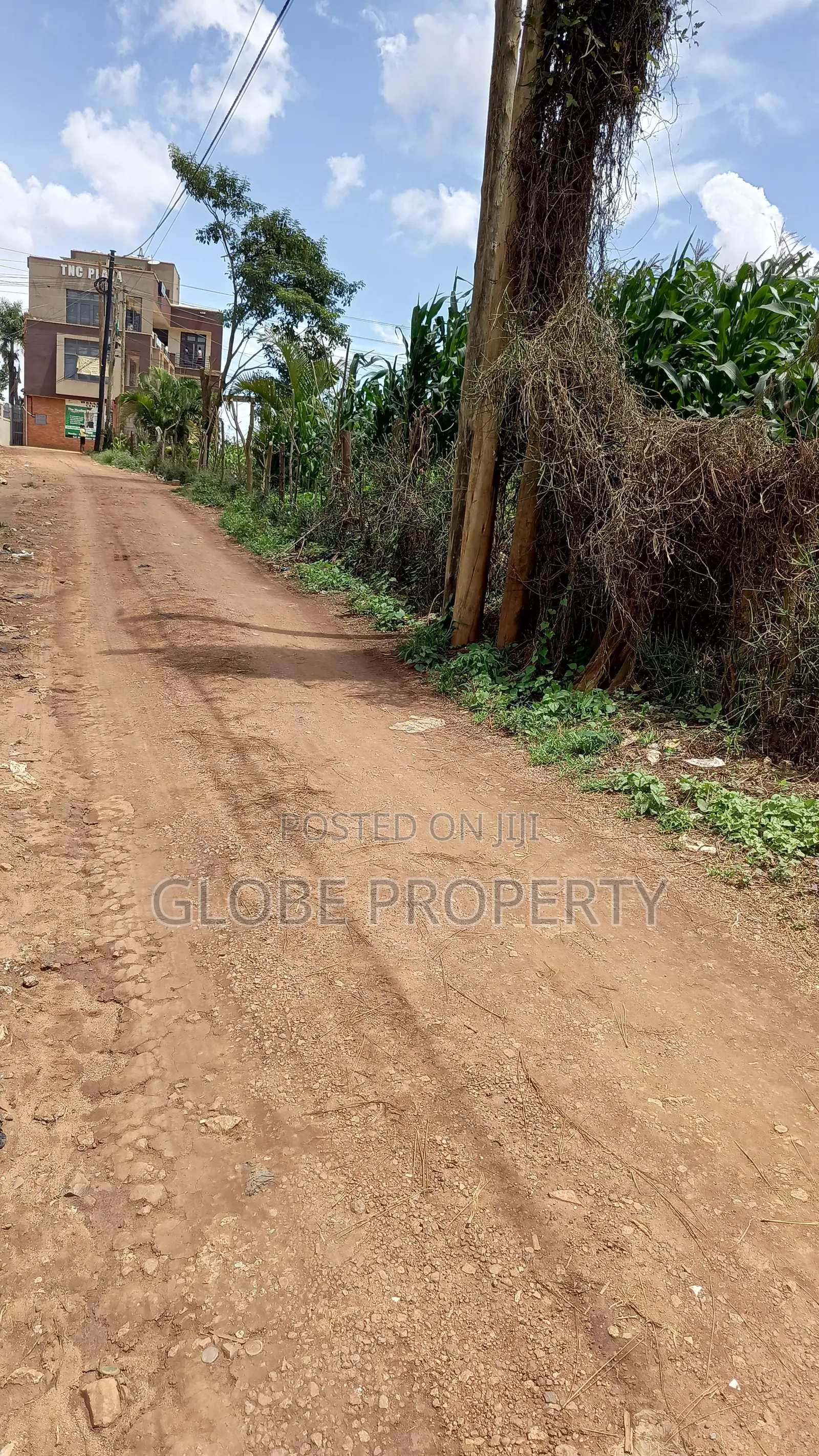 50x100 Plots for Sale at Buto Bweyogerere in Kira