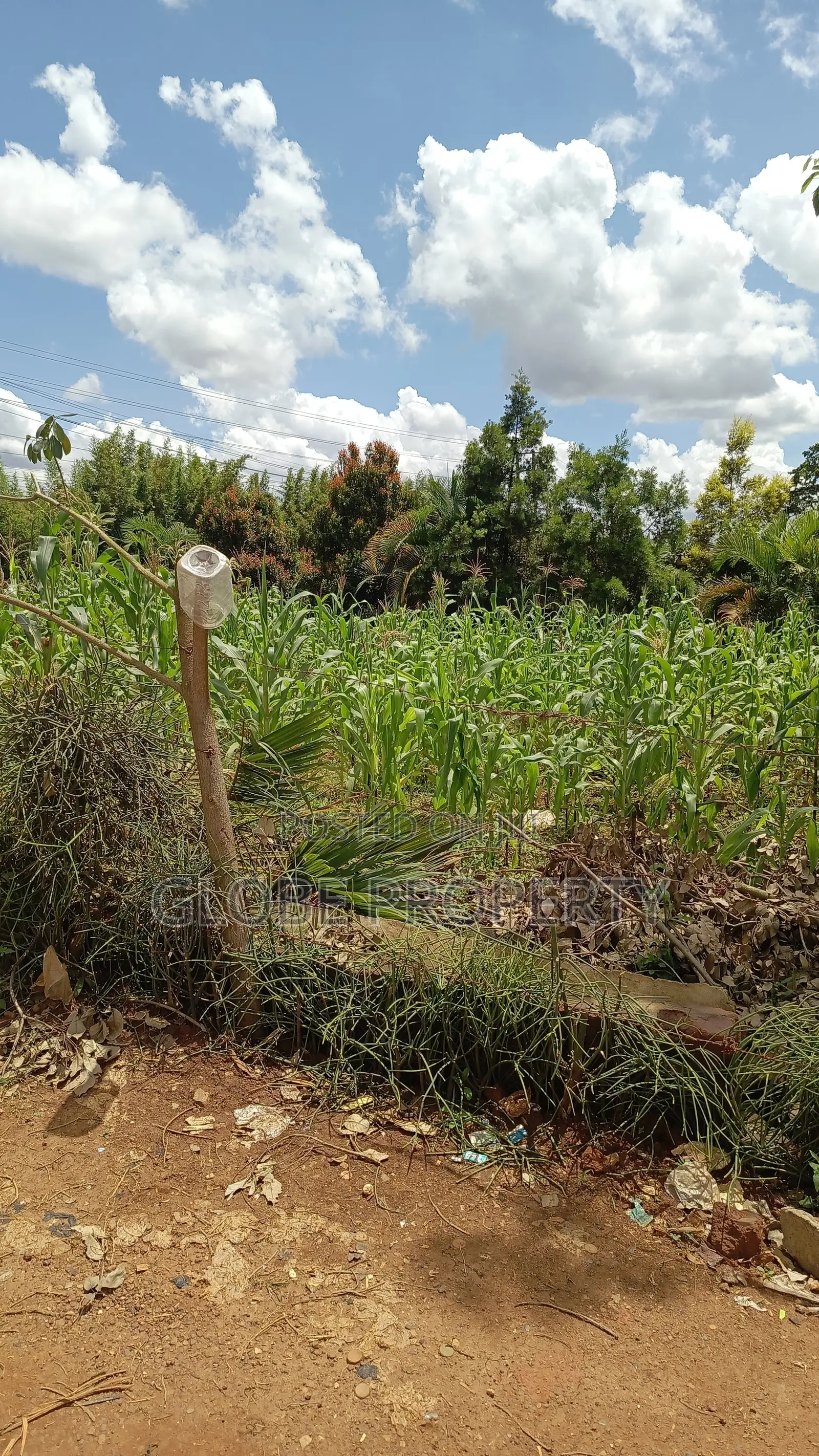 50x100 Plots for Sale at Buto Bweyogerere in Kira