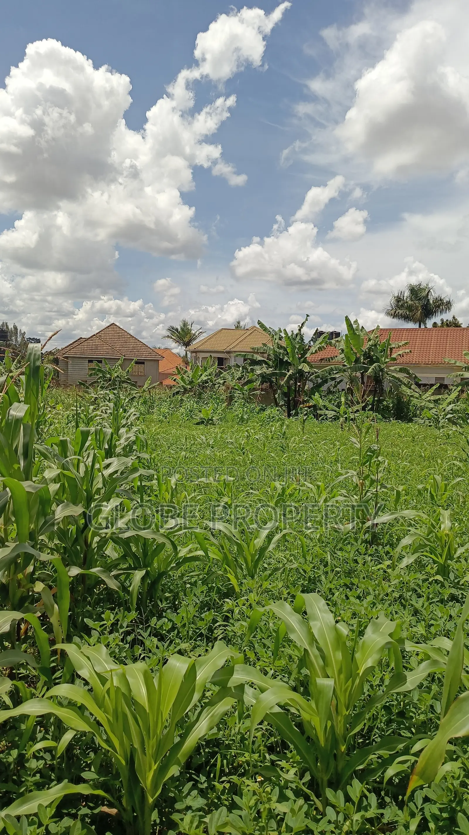 1acre Piece of Land for Sale in Bweyogerere. in Kira
