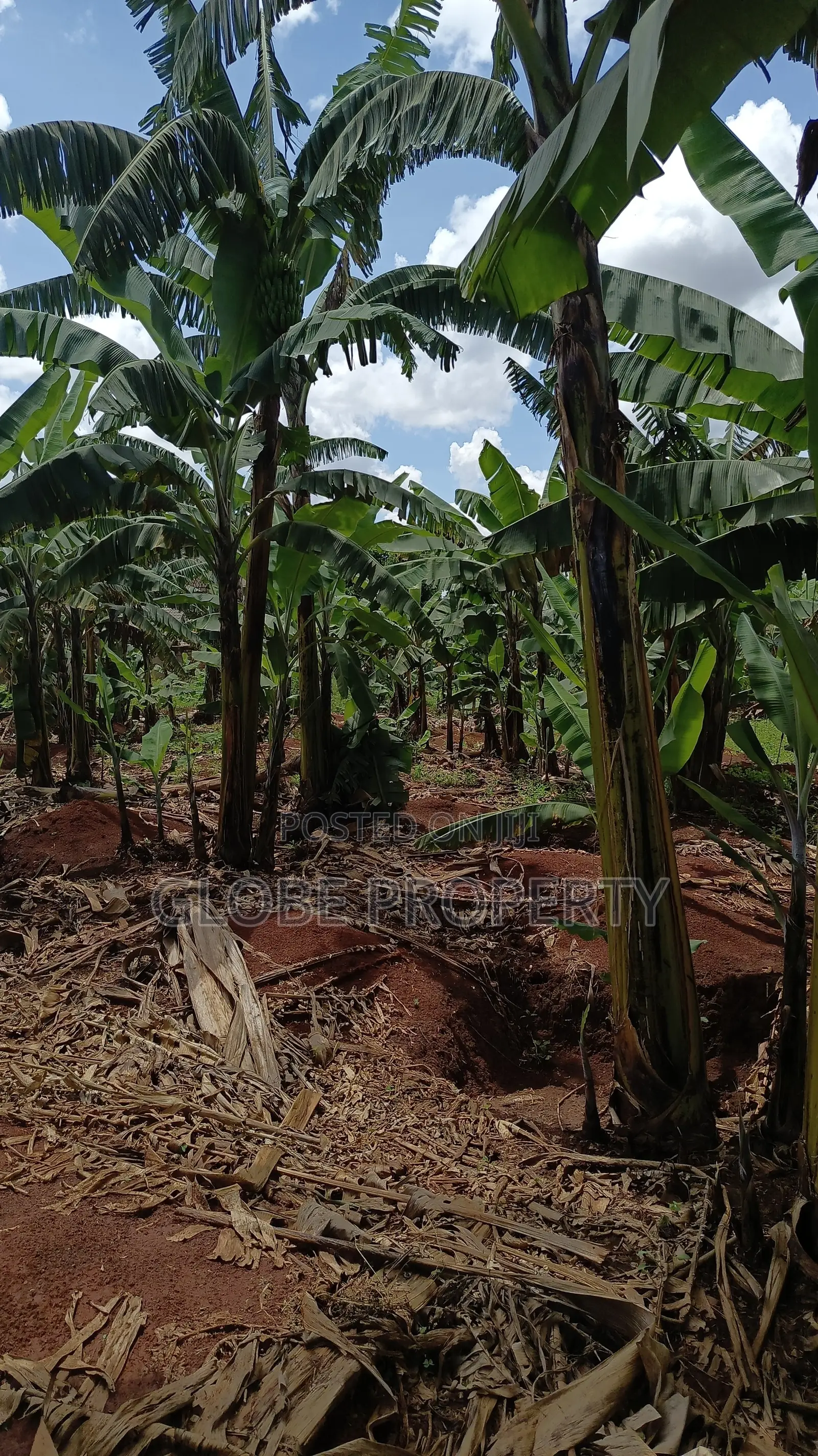 1acre Piece of Land for Sale in Bweyogerere. in Kira