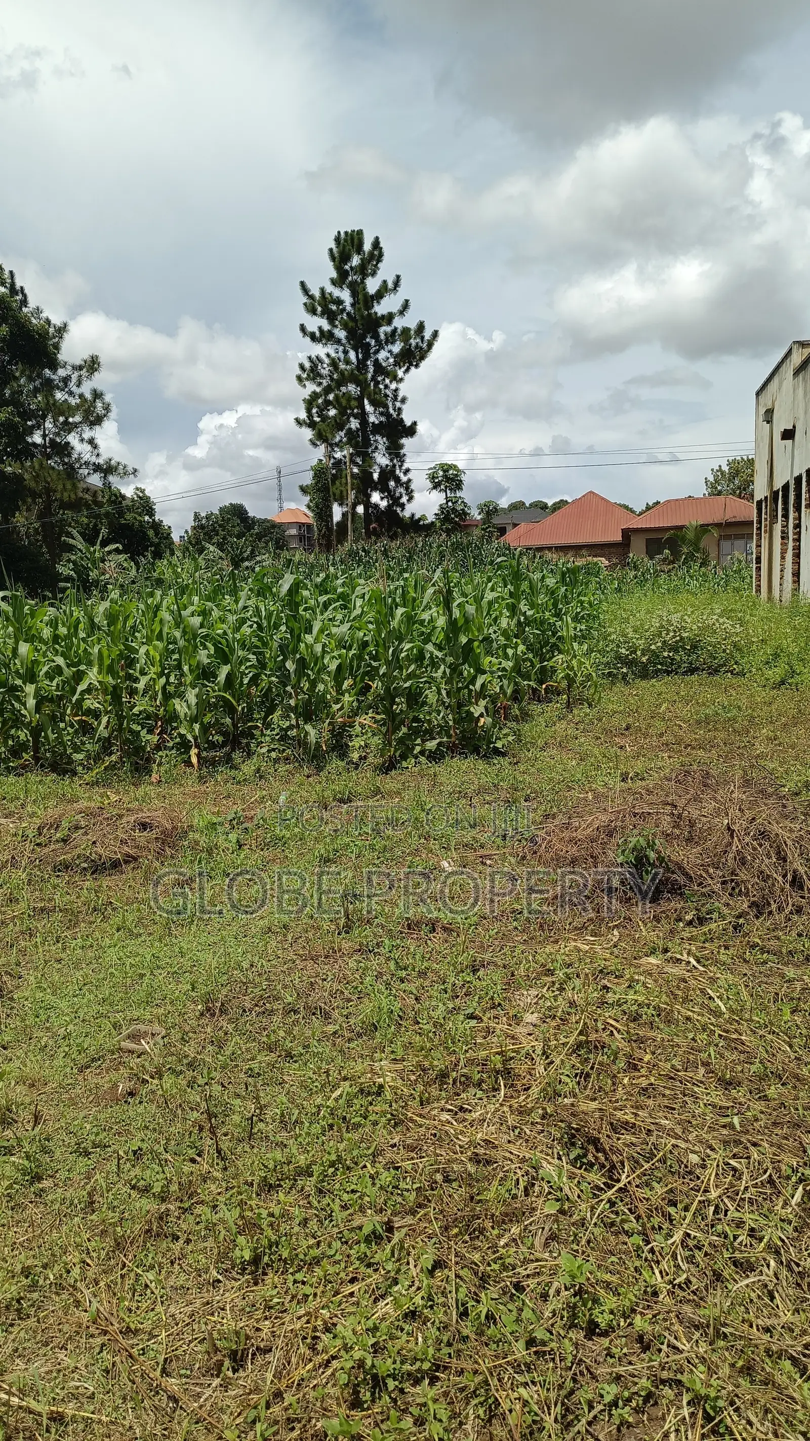 1acre Piece of Land for Sale in Bweyogerere. in Kira