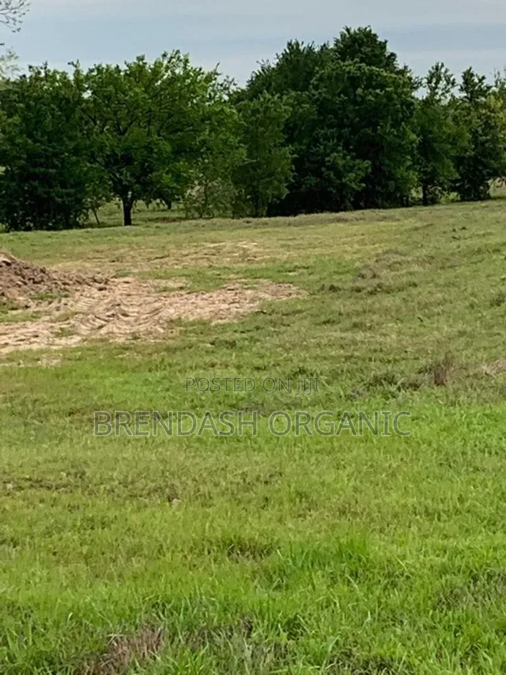 Land for Sale in Nakaseke District in Wakiso / Wakiso