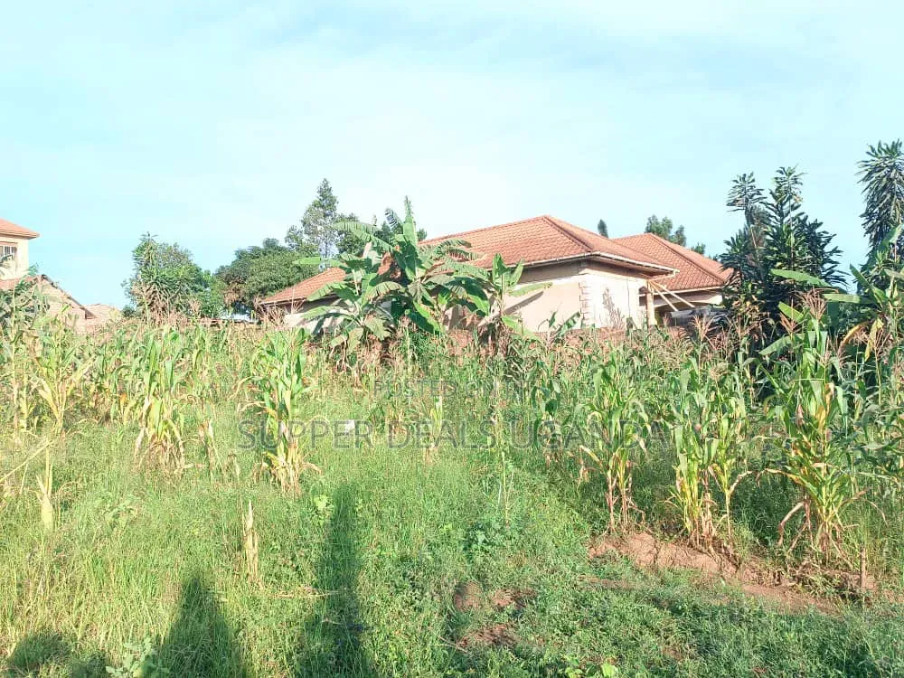 50by50ft Plot for Sale in Gayaza Kiwenda in Nakawa