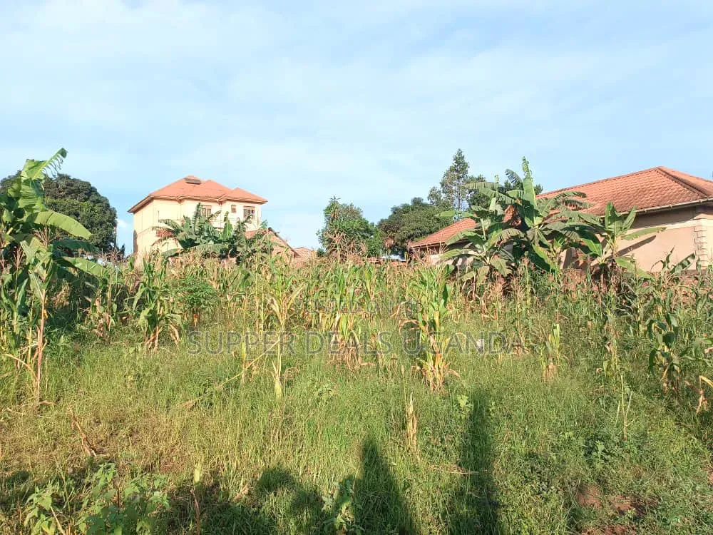 50by50ft Plot for Sale in Gayaza Kiwenda in Nakawa