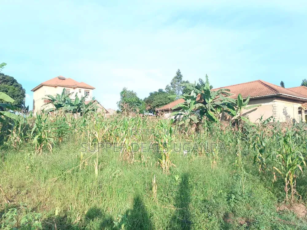 50by50ft Plot for Sale in Gayaza Kiwenda in Nakawa