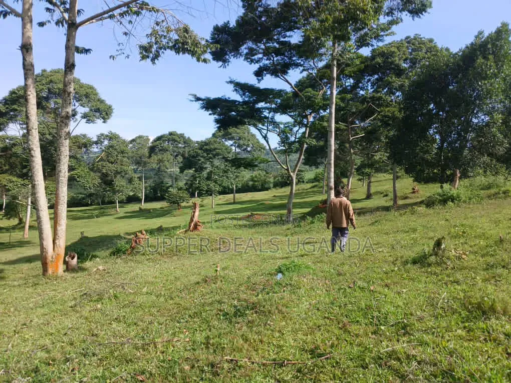 20 Acres of Land for Rent in Gayaza in Nakawa