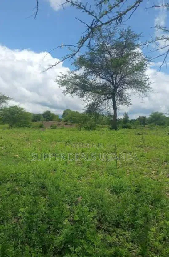 20 Acres of Land for Rent in Gayaza in Nakawa