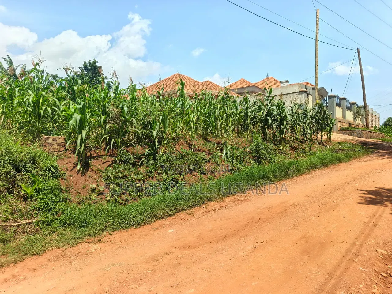 100by50ft Plot for Sale in Kyanja in Nakawa