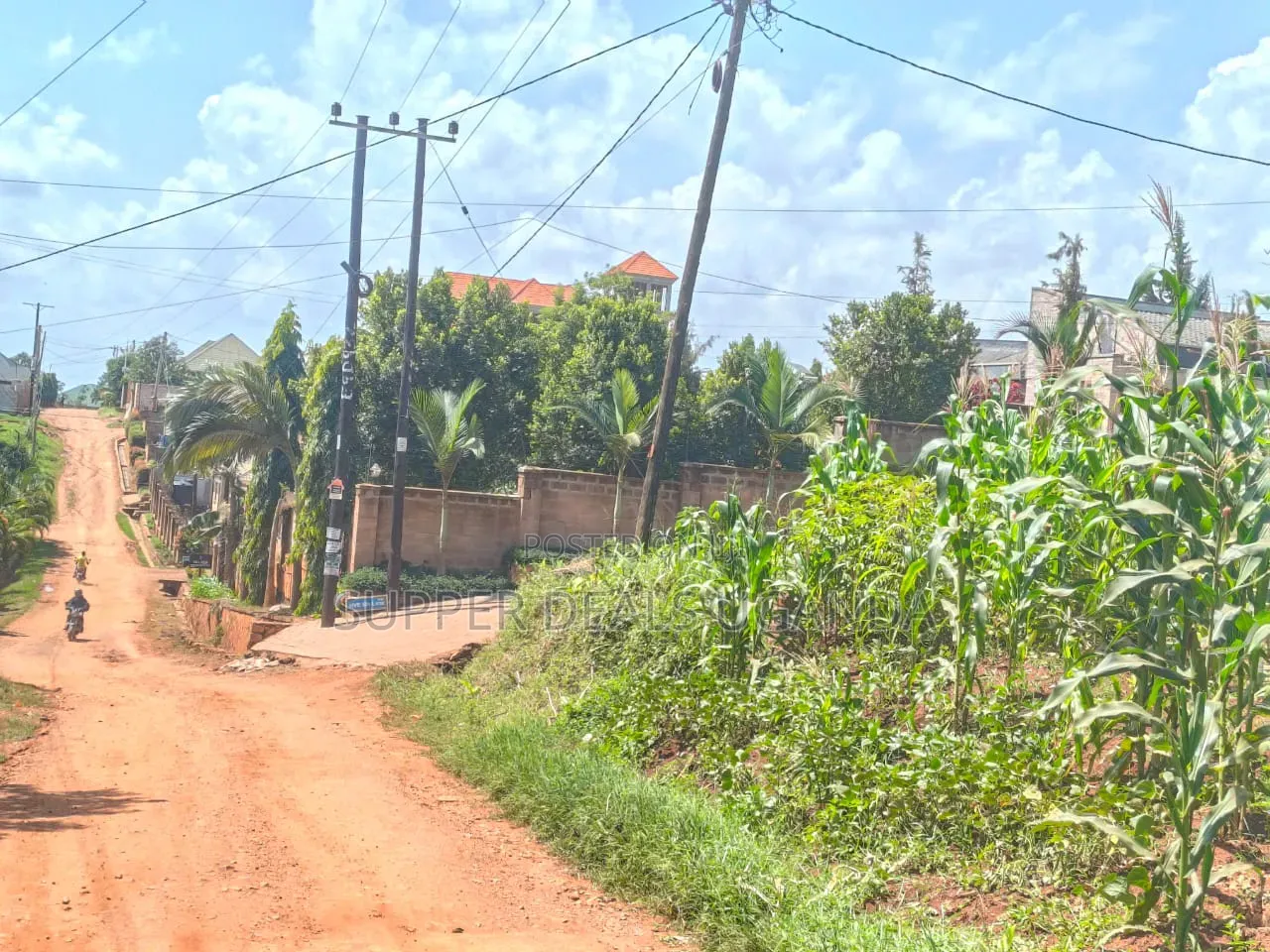 100by50ft Plot for Sale in Kyanja in Nakawa