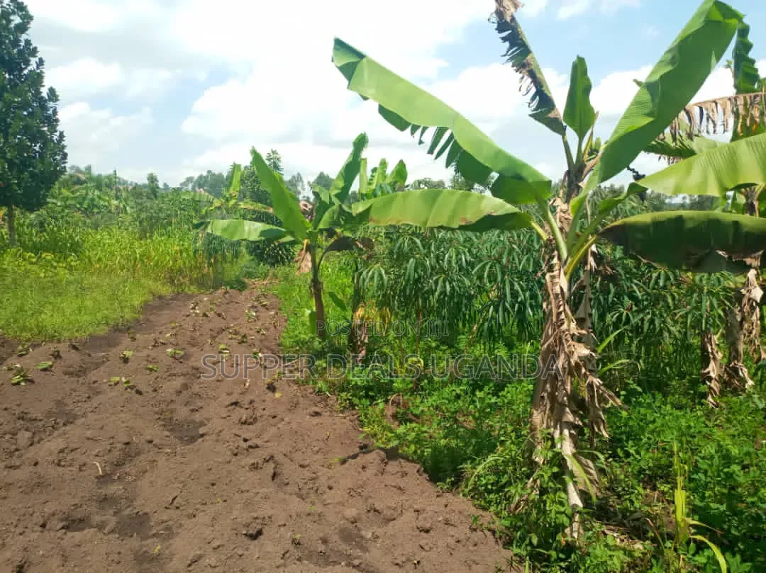 1 Acre of Land for Sale in Gayaza in Nakawa