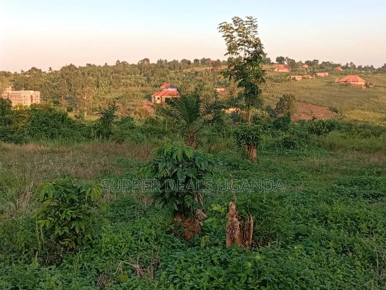 1 Acre of Land for Sale in Gayaza in Nakawa