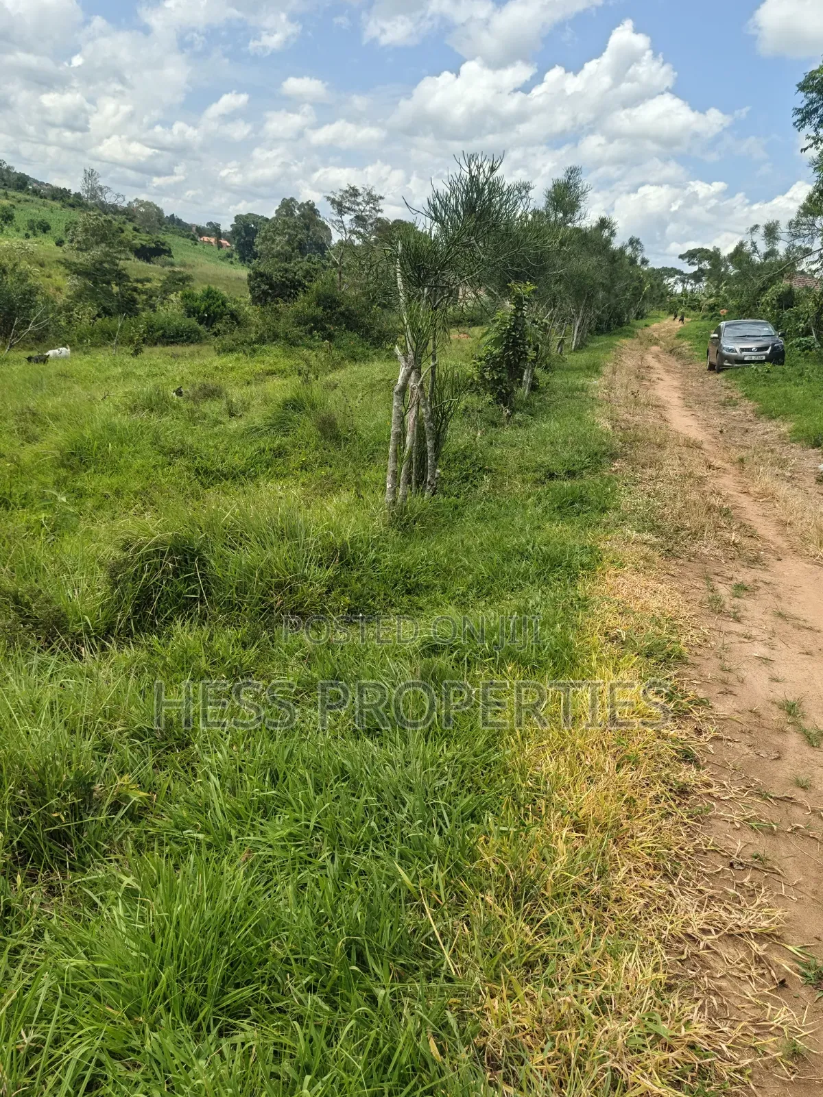 68decimals of Land on Sale Located in Misandika-Kyenjojo Town Council in Kyenjojo