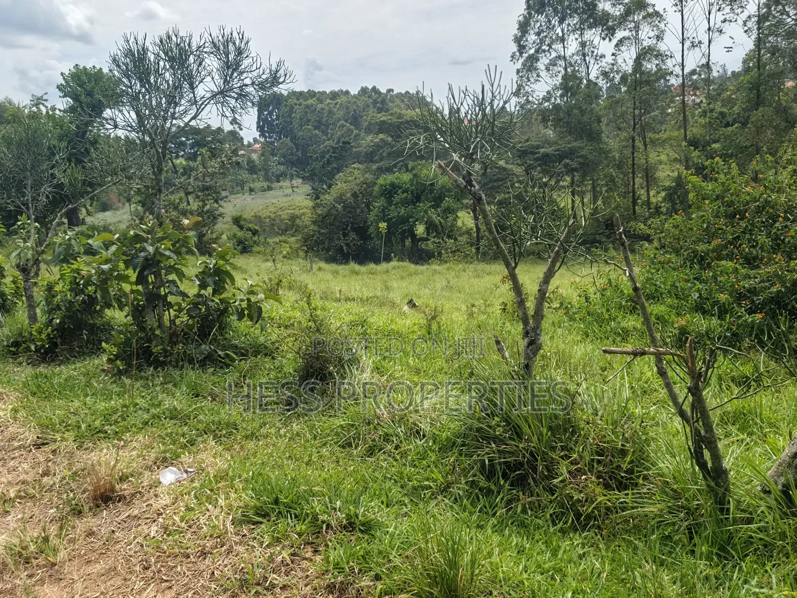 68decimals of Land on Sale Located in Misandika-Kyenjojo Town Council in Kyenjojo