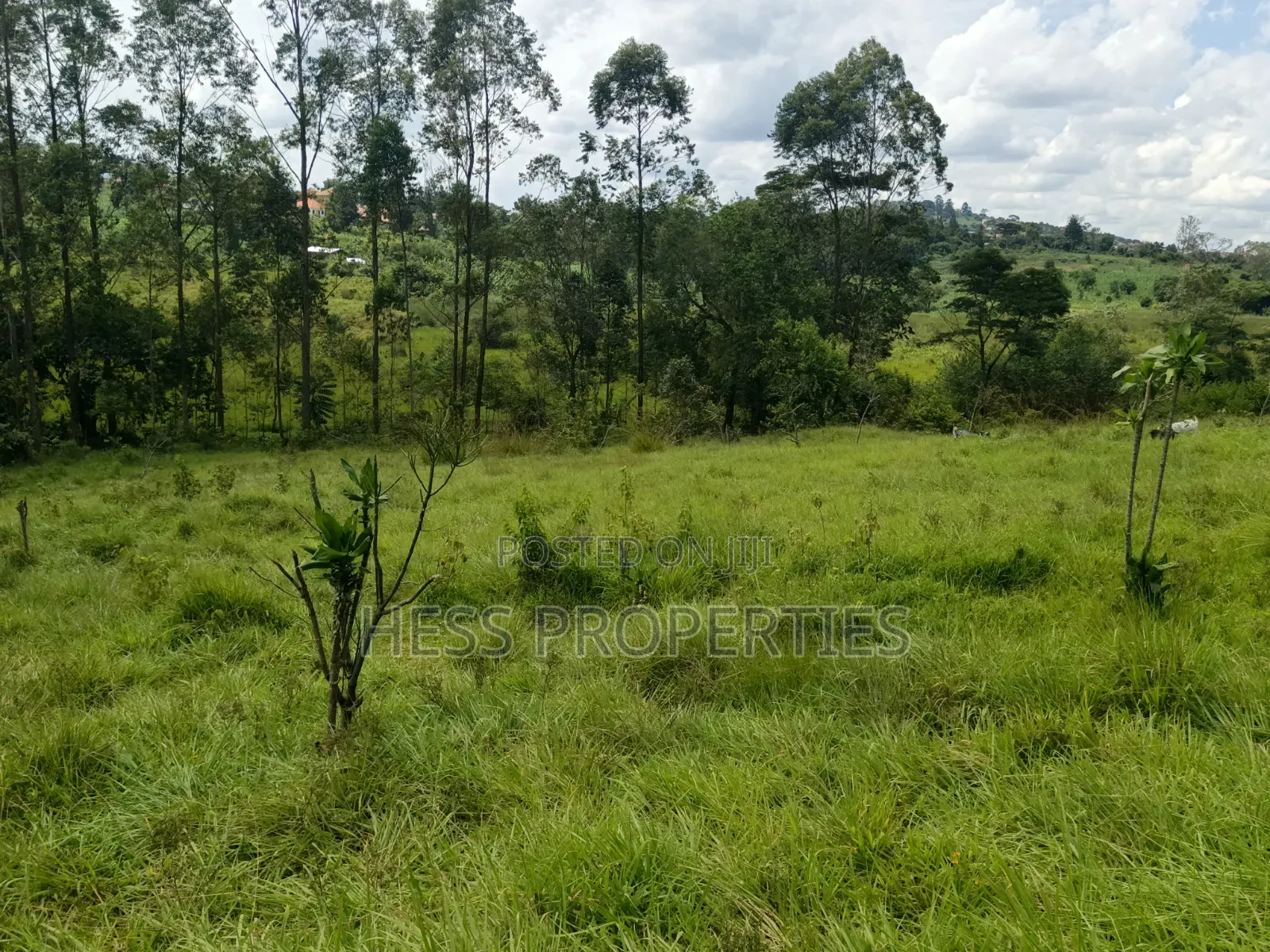 68decimals of Land on Sale Located in Misandika-Kyenjojo Town Council in Kyenjojo