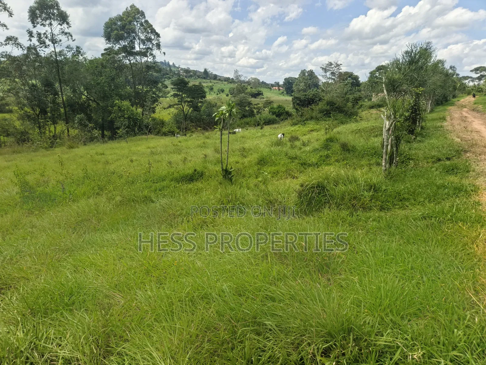 68decimals of Land on Sale Located in Misandika-Kyenjojo Town Council in Kyenjojo