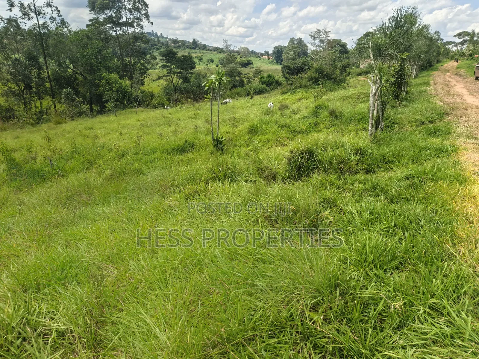 68decimals of Land on Sale Located in Misandika-Kyenjojo Town Council in Kyenjojo