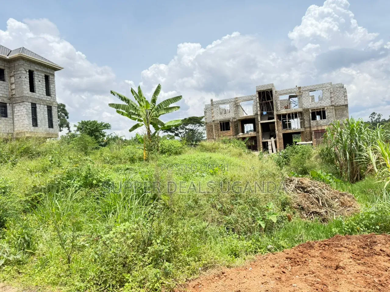 100by50ft Plot for Sale in Buwate in Nakawa