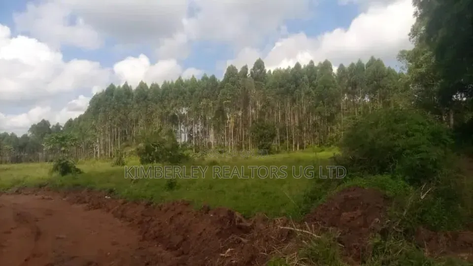 Plot For Sale 2acres In Mukono in Nakawa