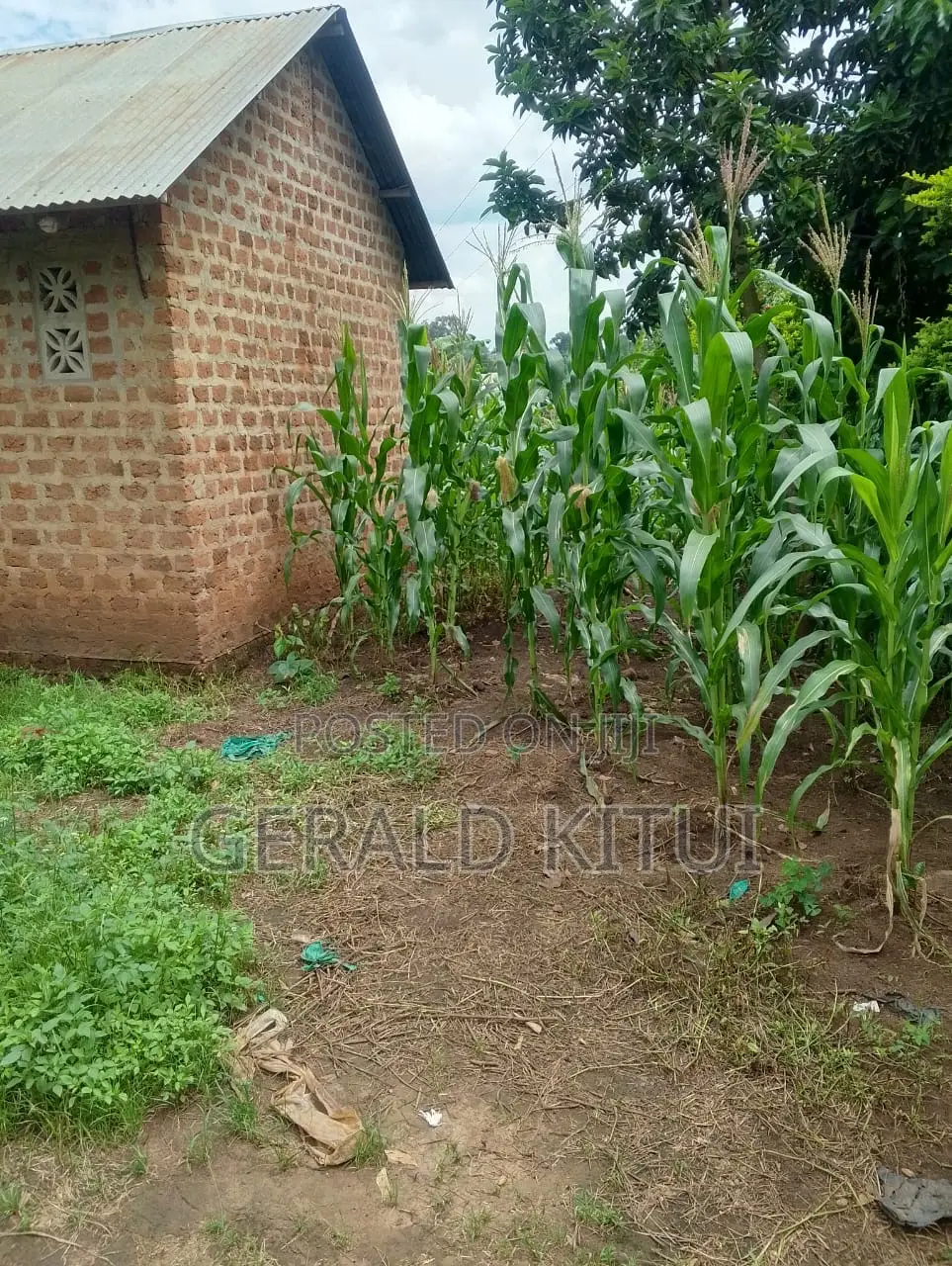 Plot for Sale in Mukono Plus a 2 Roomed House as You Can See in Mukono TC