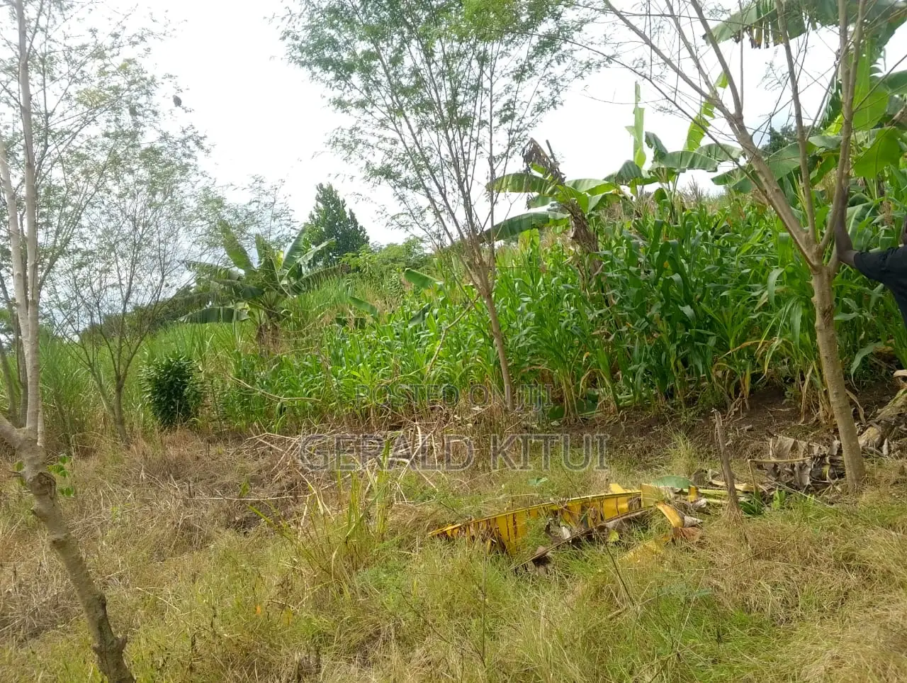 Plot for Sale in Mukono Plus a 2 Roomed House as You Can See in Mukono TC