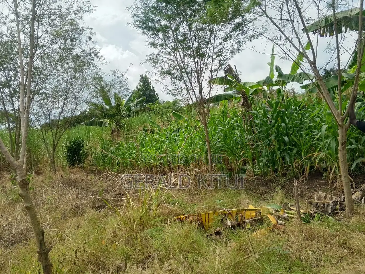Plot for Sale in Mukono Plus a 2 Roomed House as You Can See in Mukono TC