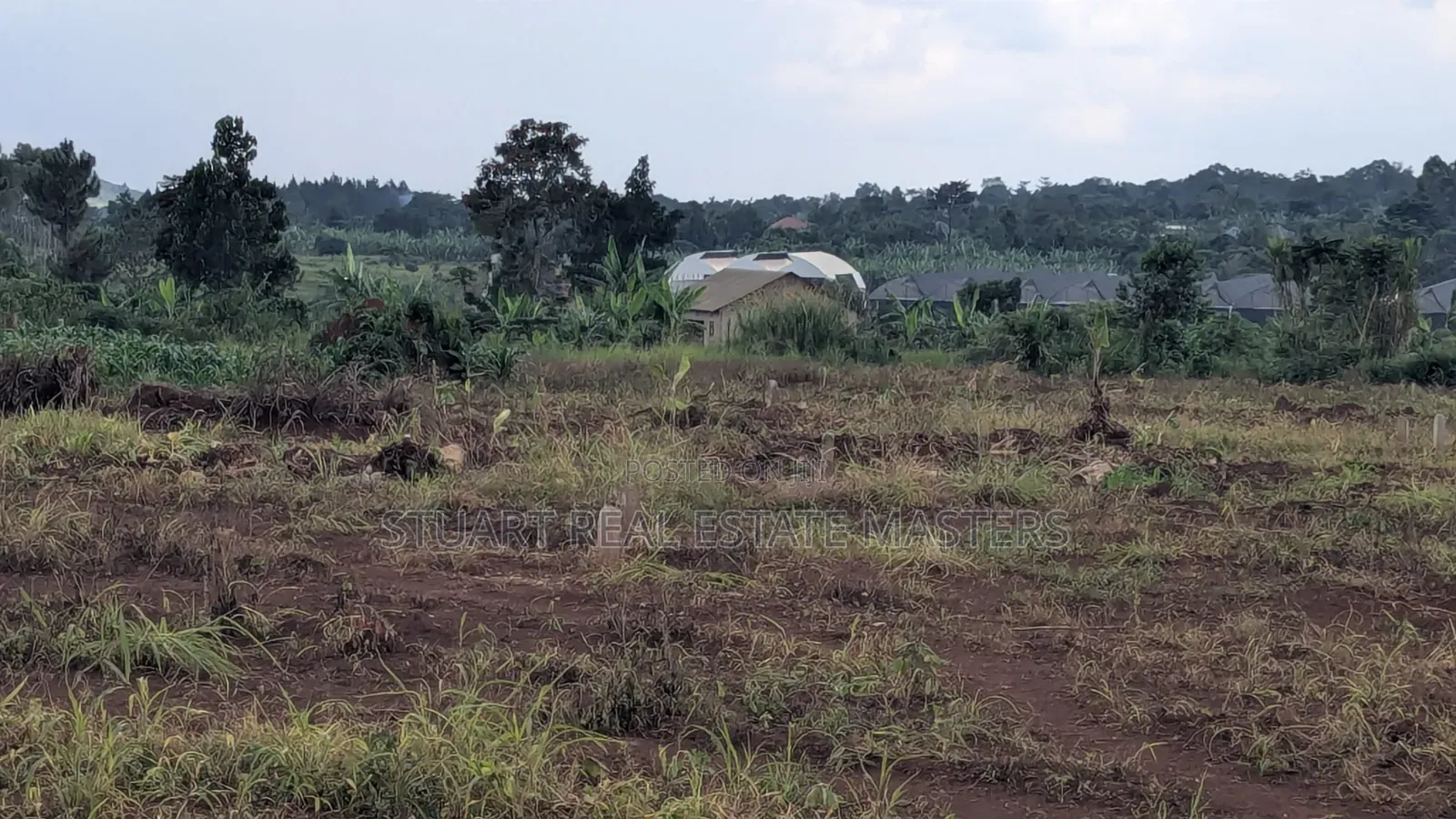 Land for Sale in at Busika 50 by 100 in Makulubita