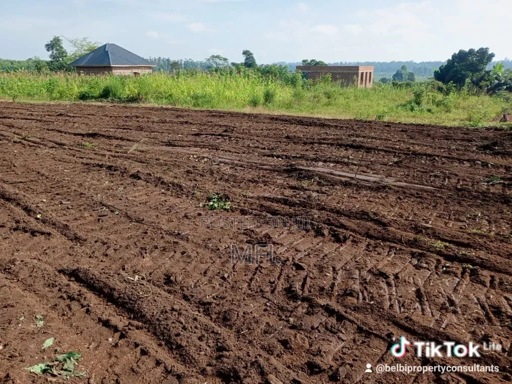 Namayumba Kasanga Plots in Wakiso / Wakiso